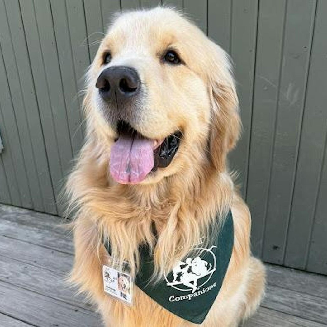 Dig Into Reading with Dug the Therapy Dog 4